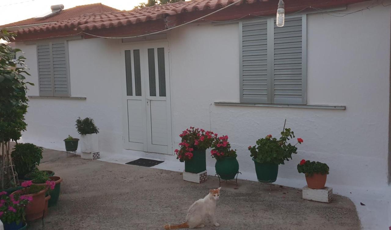 Mitikas Cosy Studio Mytikas (Epirus) Exterior foto