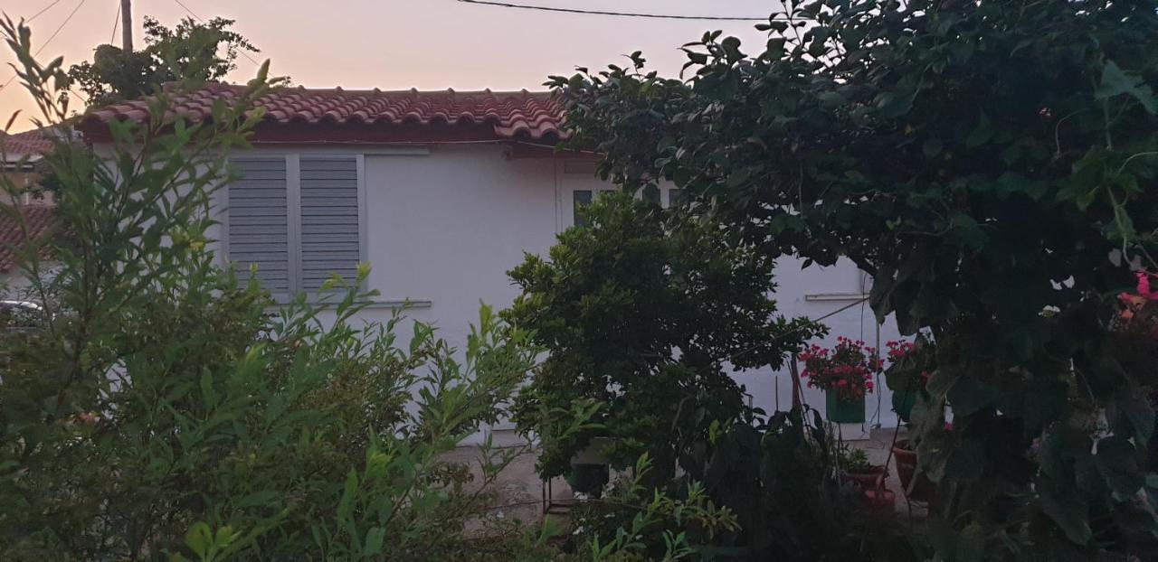 Mitikas Cosy Studio Mytikas (Epirus) Exterior foto