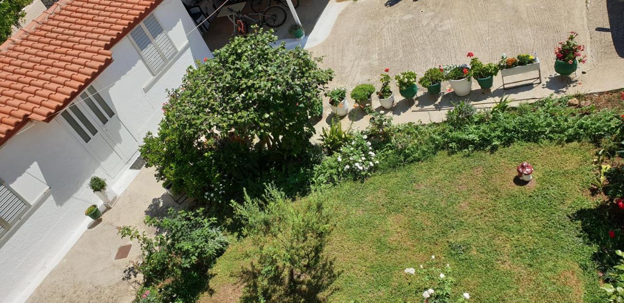 Mitikas Cosy Studio Mytikas (Epirus) Exterior foto