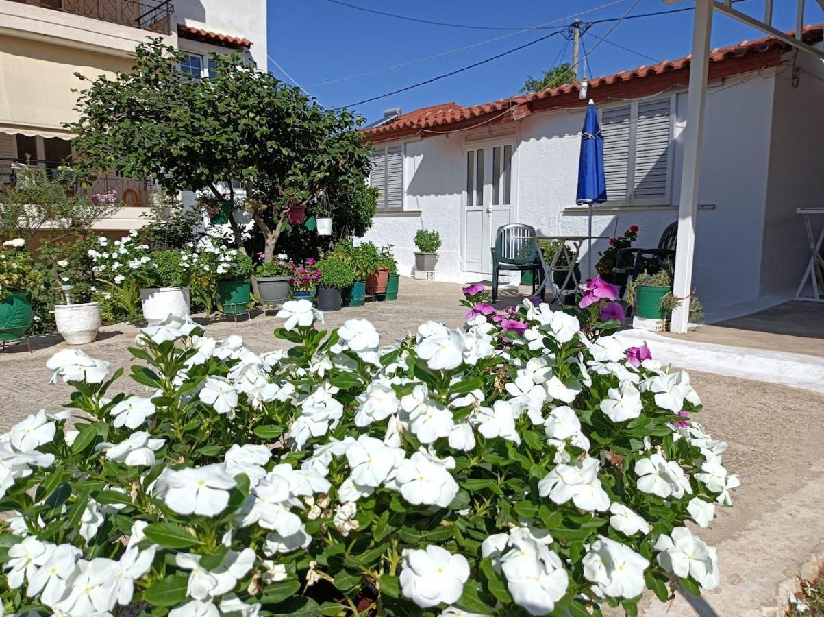 Mitikas Cosy Studio Mytikas (Epirus) Exterior foto