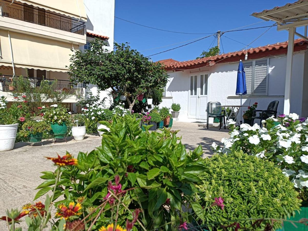 Mitikas Cosy Studio Mytikas (Epirus) Exterior foto